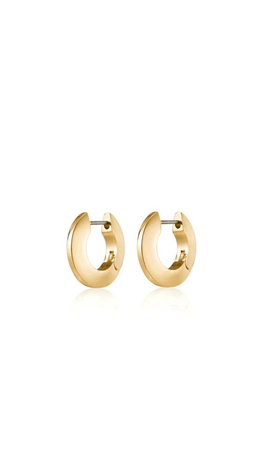 Women Jenny Bird Earrings | Small Toni Hinged Hoops